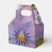 Haetzlern Geschenkschachtel (Rückseite)