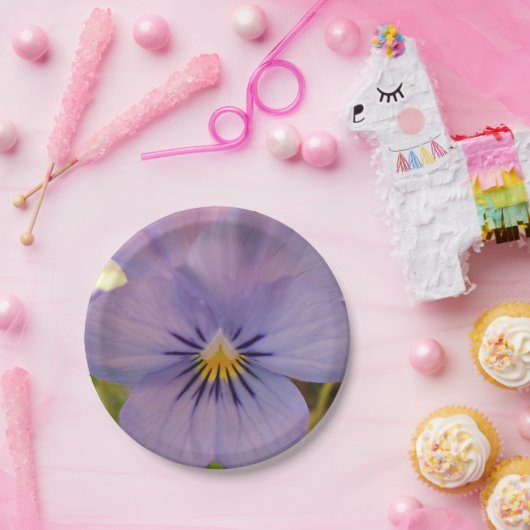 Haetzlern Pappteller (Party)