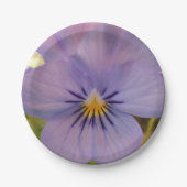 Haetzlern Pappteller (Vorderseite)