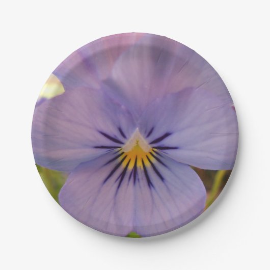 Haetzlern Pappteller (Vorderseite)