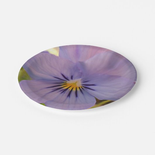 Haetzlern Pappteller (Schrägansicht)