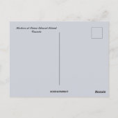 Hafen auf der Prince Edward Island Kanada Postkarte (Rückseite)