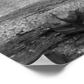 Hafen, Concarneau Poster (Ecke)