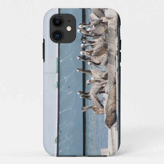 Hafen-Freunde Case-Mate iPhone Hülle (Rückseite)