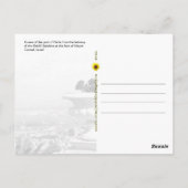 Hafen Haifa, Israel - Postkarte (Rückseite)