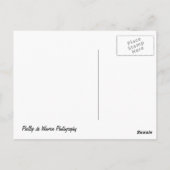 Hafen Insel - Gordons Bay - Kapstadt Postkarte (Rückseite)