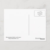 Hafen Nassau Postkarte (Rückseite)