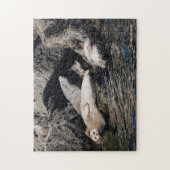 Hafen Siegel Basking in der Sommersonne Puzzle (Vertikal)