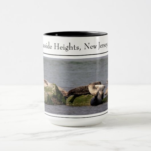 Hafen Siegel, Island Beach Staat Park Tasse (Zentrum)