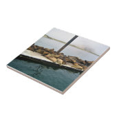 Hafen Siegel, Morro Bay, Kalifornien Fliese (Seite)