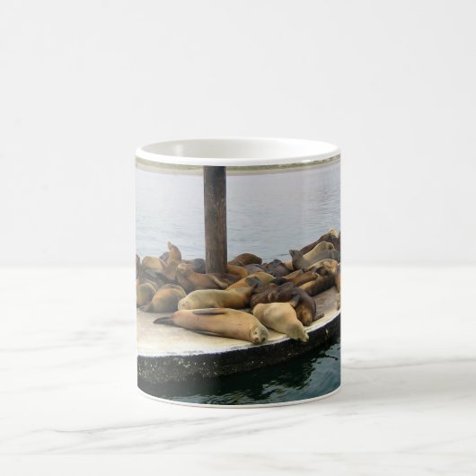 Hafen Siegel, Morro Bay, Kalifornien Kaffeetasse (Mittel)