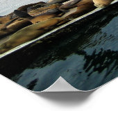 Hafen Siegel, Morro Bay, Kalifornien Poster (Ecke)