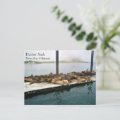Hafen Siegel, Morro Bay, Kalifornien Postkarte (Stehend Vorderseite)