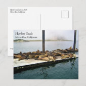 Hafen Siegel, Morro Bay, Kalifornien Postkarte (Vorne/Hinten)