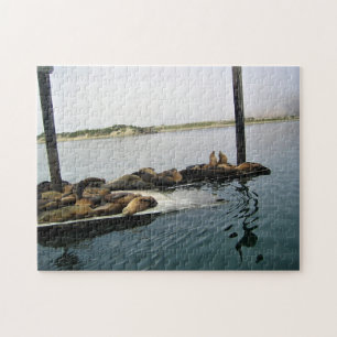 Hafen Siegel, Morro Bay, Kalifornien Puzzle