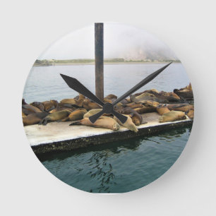 Hafen Siegel, Morro Bay, Kalifornien Runde Wanduhr