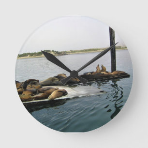 Hafen Siegel, Morro Bay, Kalifornien Runde Wanduhr