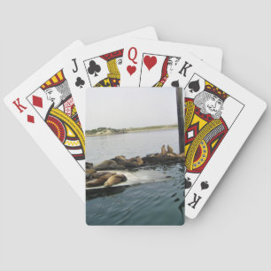 Hafen Siegel, Morro Bay, Kalifornien Spielkarten