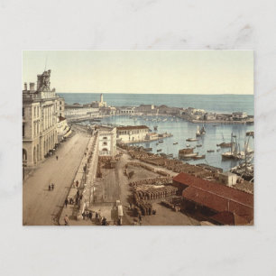 Hafen und Bewunderung, Algier, Algerien Postkarte