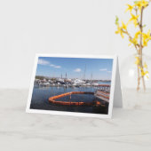 Hafen von Paphos, Zypern Karte (Gelbe Blume)