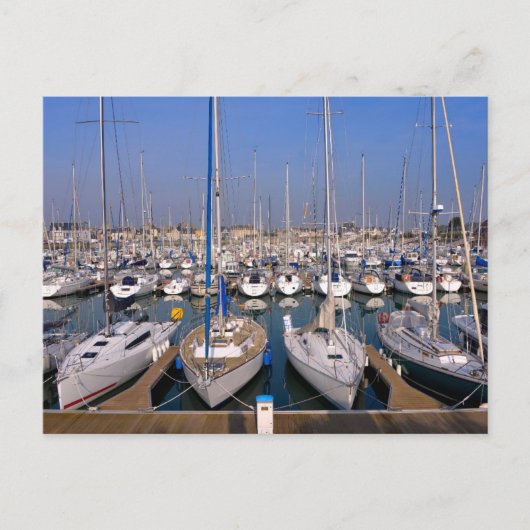 Hafen von Saint-Vaast-la-Hougue in Frankreich Postkarte (Vorderseite)