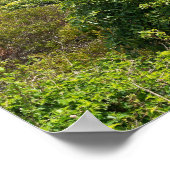 Hafen von Sydney Poster (Ecke)