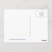 Hafen von Toronto Postkarte (Rückseite)