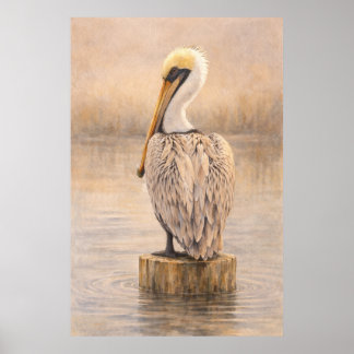 Hafenpelikan | Küsten-Wildlife-Kunst | Poster