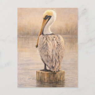 Hafenpelikan   Küsten-Wildlife-Kunst   Postkarte