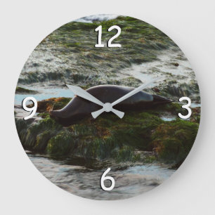 Hafenrobbe II bei Sonnenuntergang in San Diego Große Wanduhr