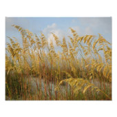 Hafer Fotodruck (Vorne)