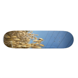 Hafer-Pflanze Skateboard