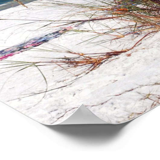 Hafer, Strand, Poster (Ecke)