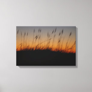 Hafer und Dünen im Sonnenuntergang Leinwanddruck