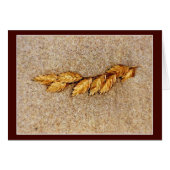 Hafer und Sand (Vorderseite (Horizontal))