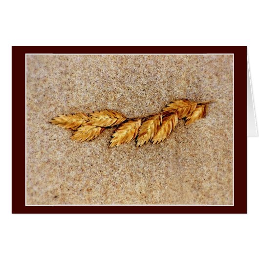 Hafer und Sand (Vorderseite (Horizontal))