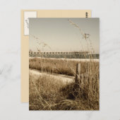 Haferflocken an den Dünen von Myrtle Beach Postkarte (Vorne/Hinten)