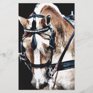Haflinger