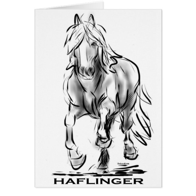 Haflinger (Vorne)