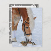 Haflinger 7 postkarte (Vorne/Hinten)