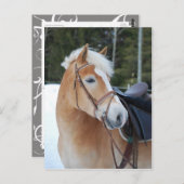 Haflinger 8 postkarte (Vorne/Hinten)