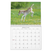 Haflinger Foals - klein Kalender (Mär 2027)