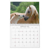 Haflinger Foals - klein Kalender (Feb 2027)