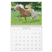 Haflinger Foals - klein Kalender (Jan 2027)