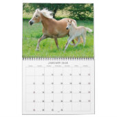 Haflinger Foals - mittelgroße Haflinger Foals Kalender (Jan 2018)