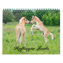 Haflinger Foals - mittelgroße Haflinger Foals Kalender