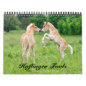 Haflinger Foals - mittelgroße Haflinger Foals Kalender (Titelbild)
