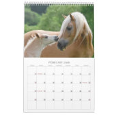 Haflinger fohlt 2017 kalender (Feb 2026)