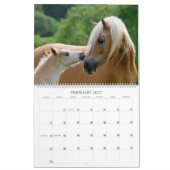 Haflinger fohlt die große Größe 2017 Kalender (Feb 2027)