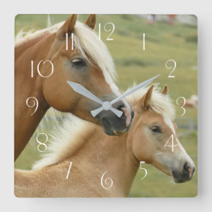 Haflinger horse and foal quadratische wanduhr